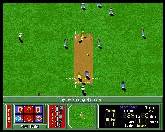 World Cup Cricket For Amiga Screenshot